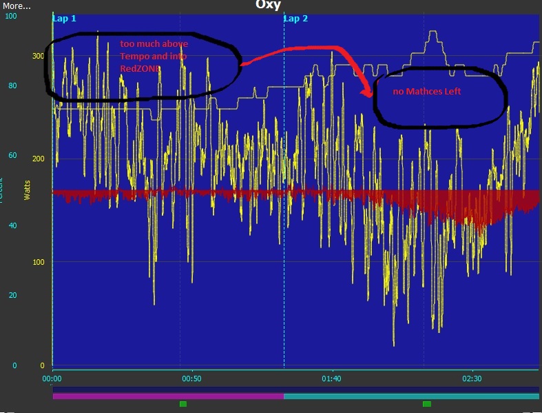 גינתוןWBALANCE23