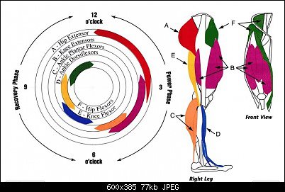 spinscan