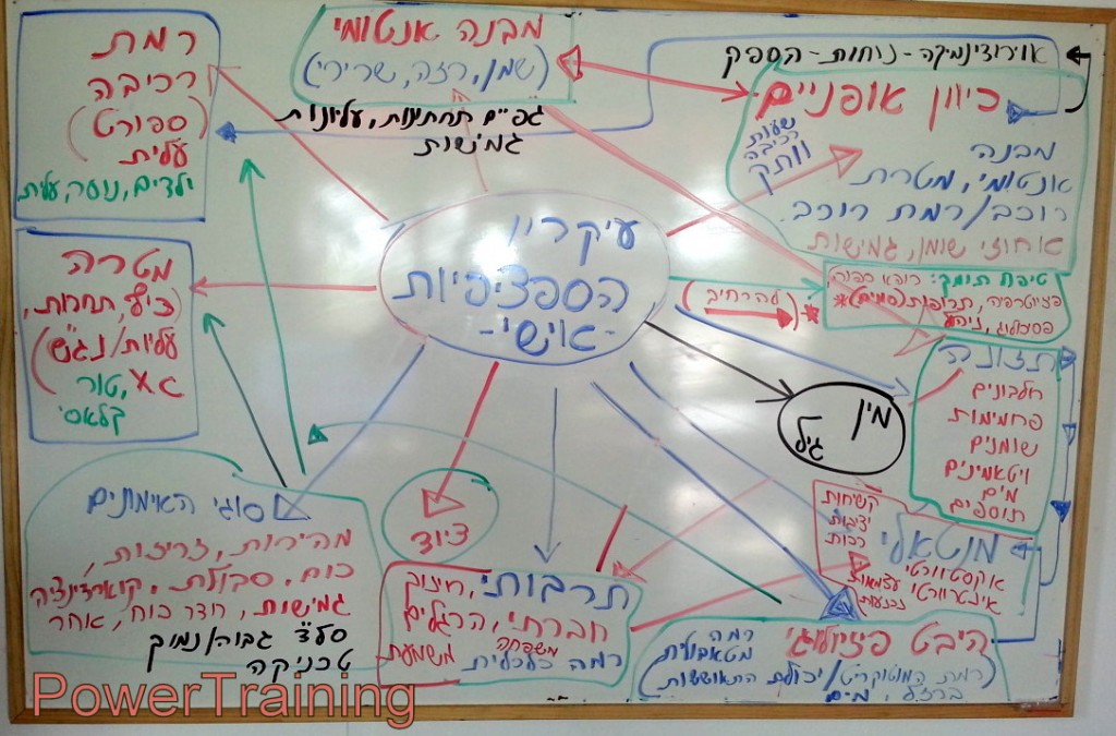 עקרן הספציפיות